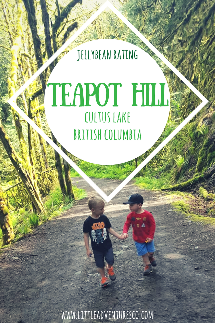 Jellybean Rating: Teapot Hill, Chilliwack, British Columbia! #naturekids #hikingwithkids #kidsoutside