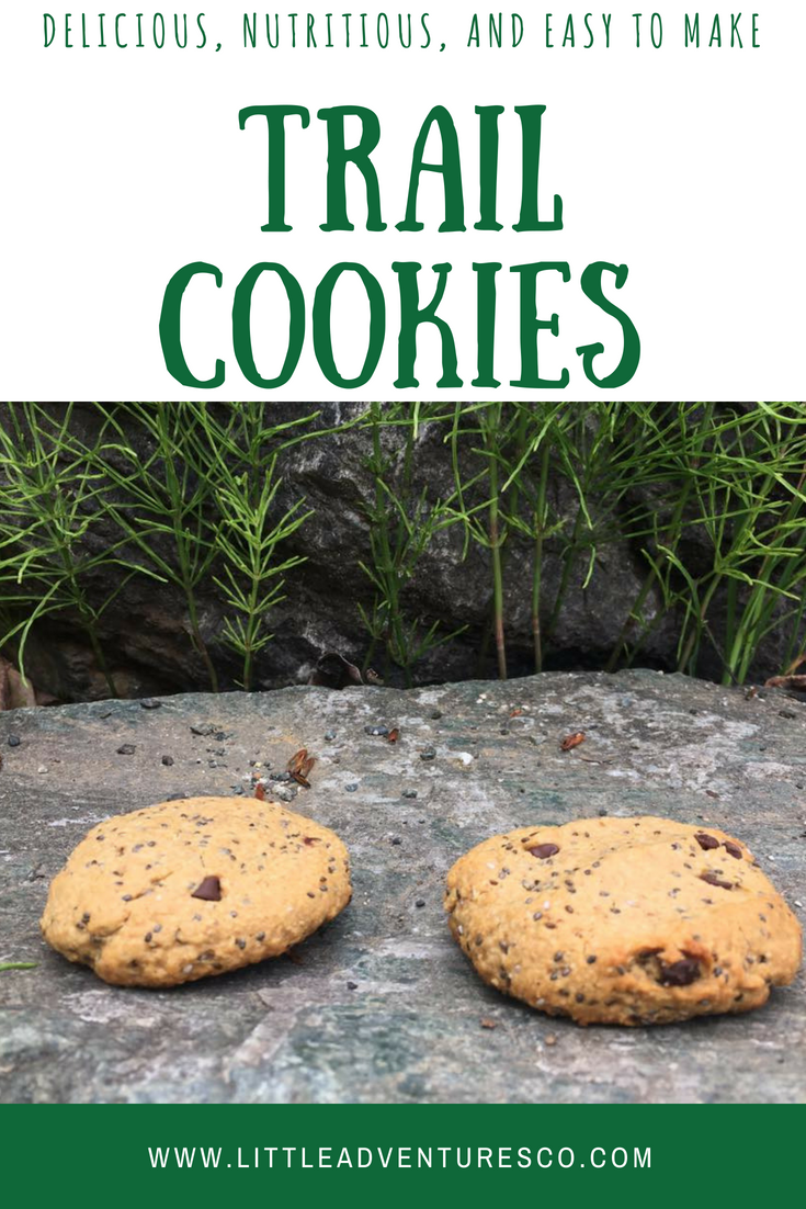 Trail cookie recipe! #healthysnacks #healthycookie #yummycookie