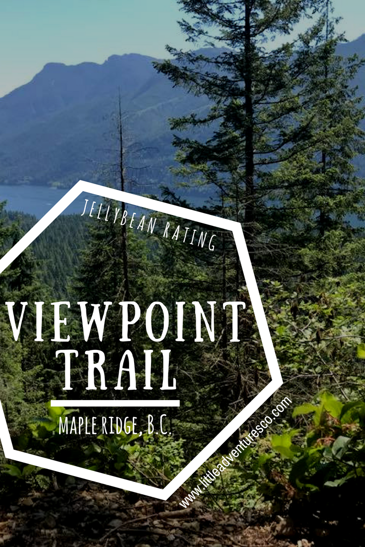 Viewpoint Trail- Golden Ears Park, Maple Ridge, British Columbia