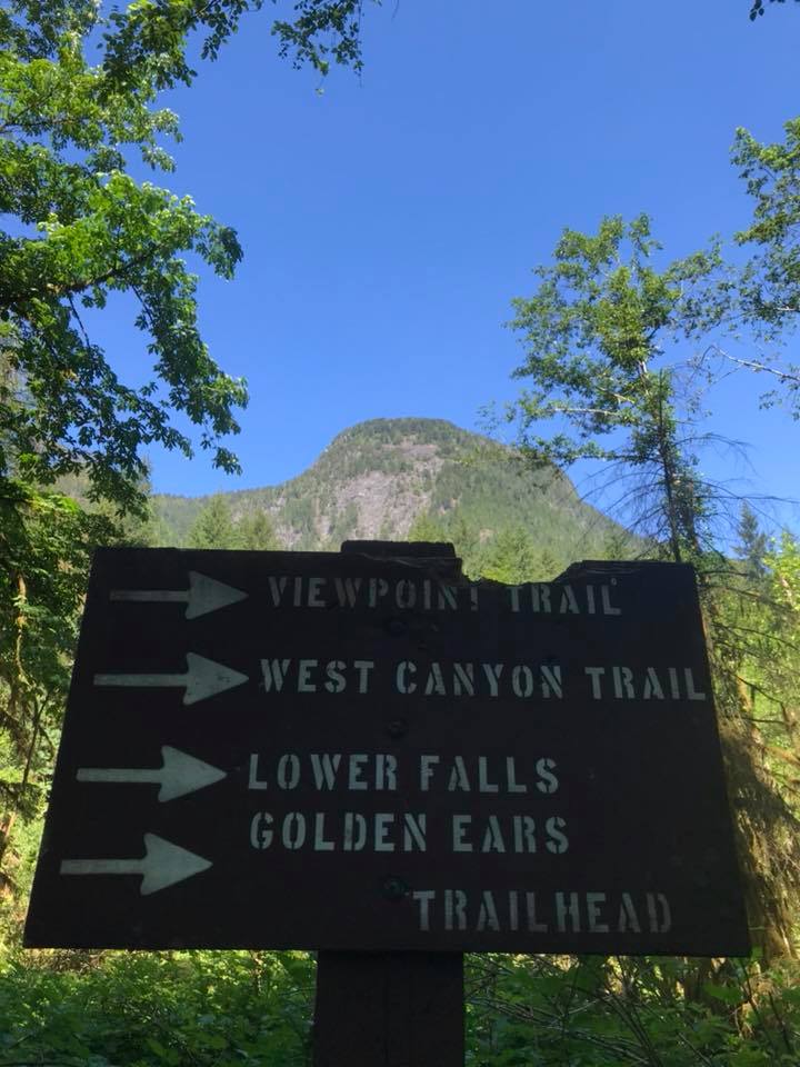 Sign for viewpoint trail