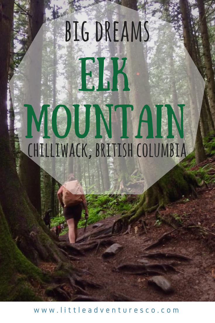Elk mountain trail