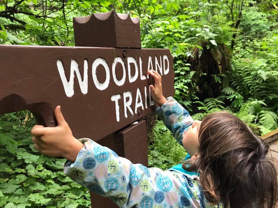 Bridal Falls woodland trail