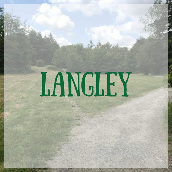 Langley Jellybean rating