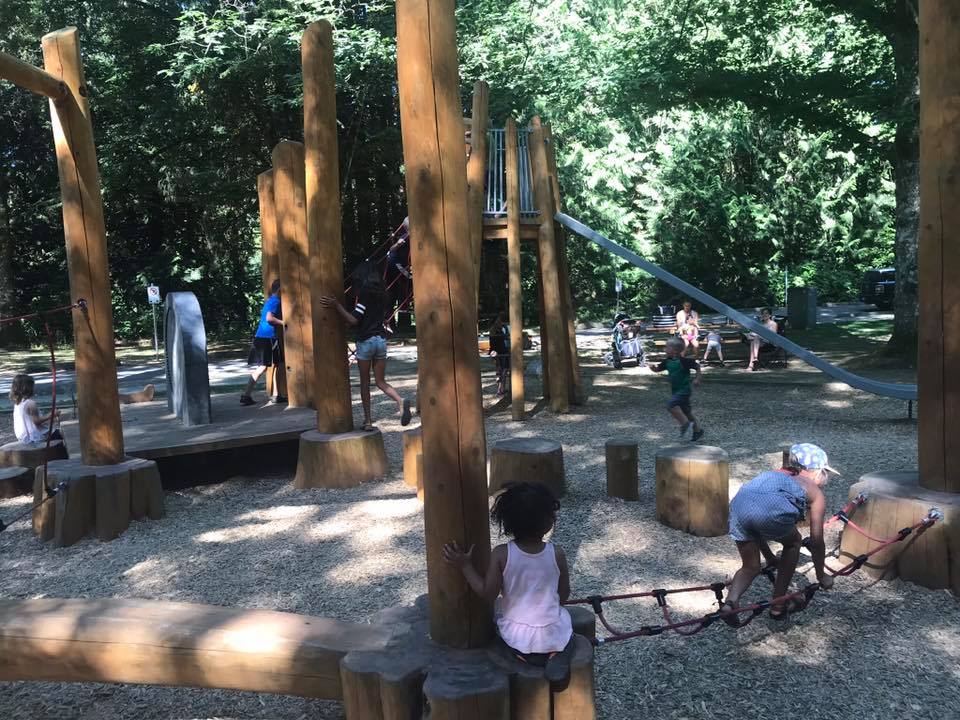natural playground williams park