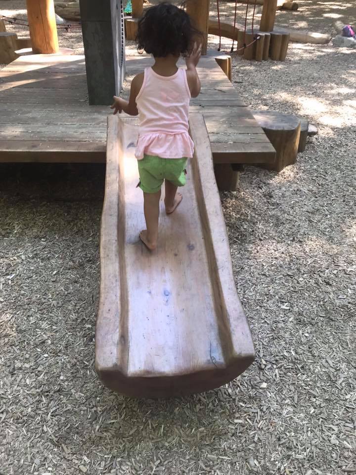 natural playground at williams park