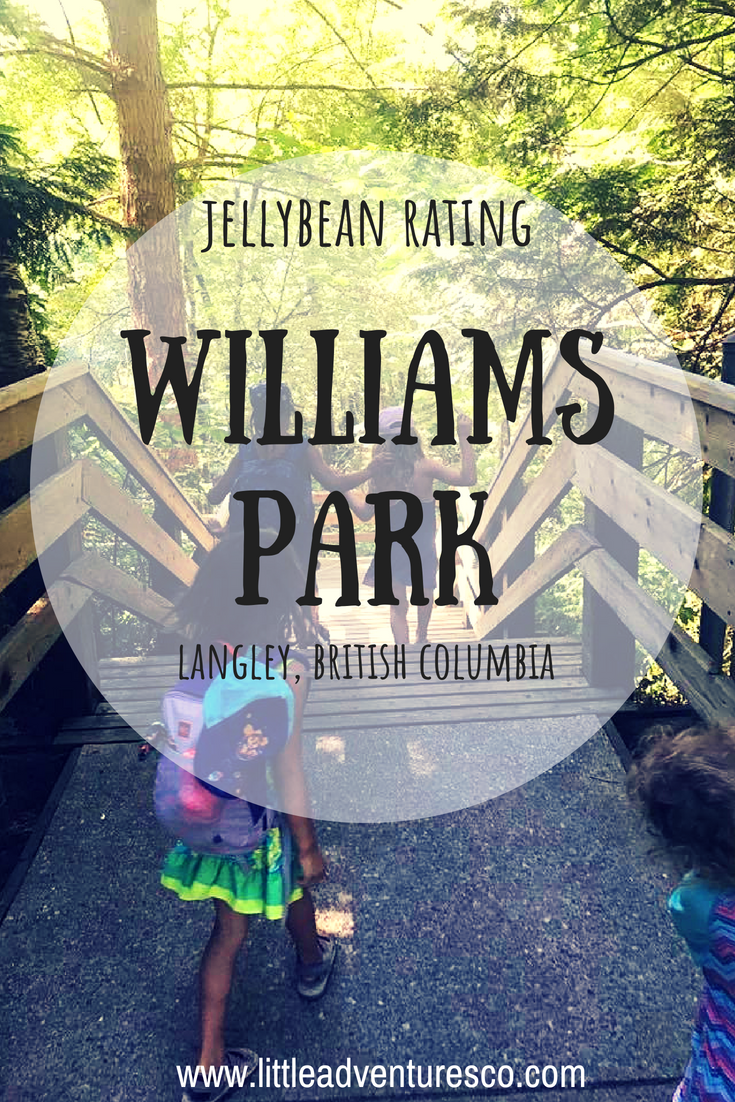 If you're looking for a spot with a great playground, forest, and swimming hole William's Park in Langley, British Columbia is your place to go!