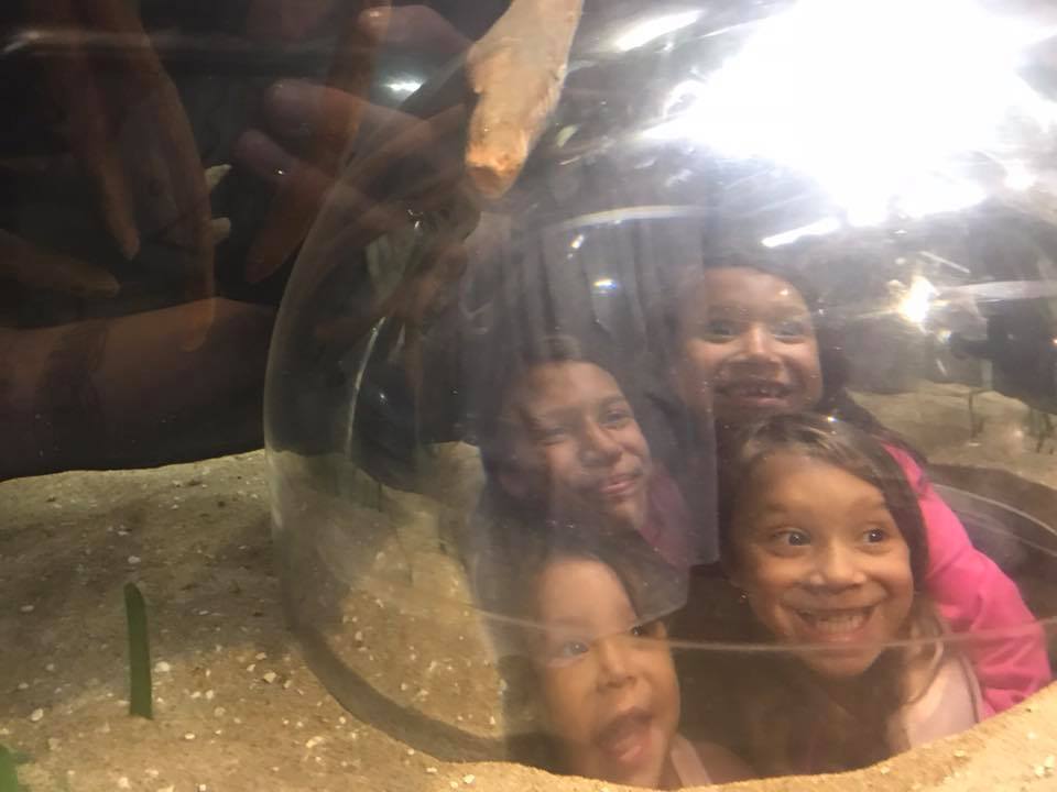 look dome at vancouver aquarium