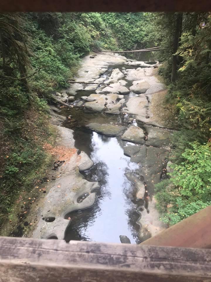 view from bridge at cliff falls