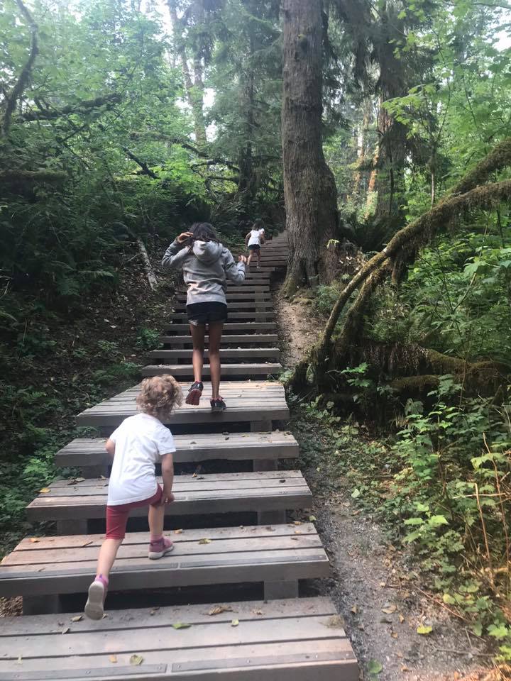 stairs on the kanaka creek trail