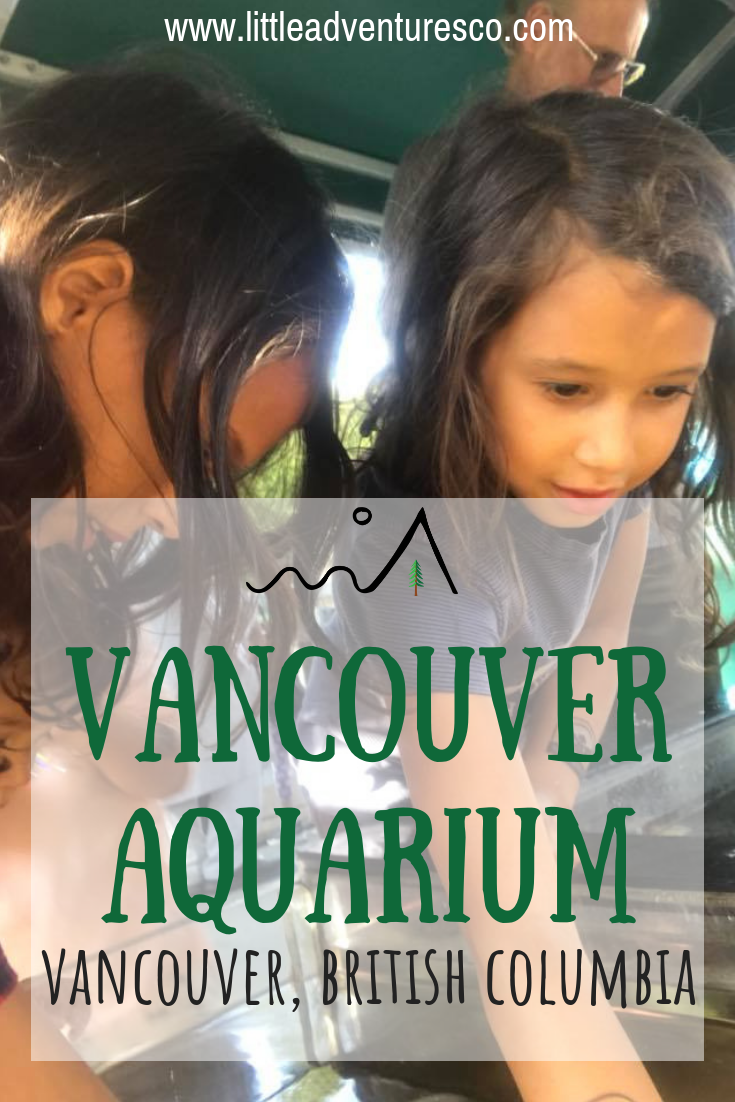The Vancouver Aquarium will captivate your kids, no matter what age, for hours. It will leave a lasting impression and be a favorite memory!