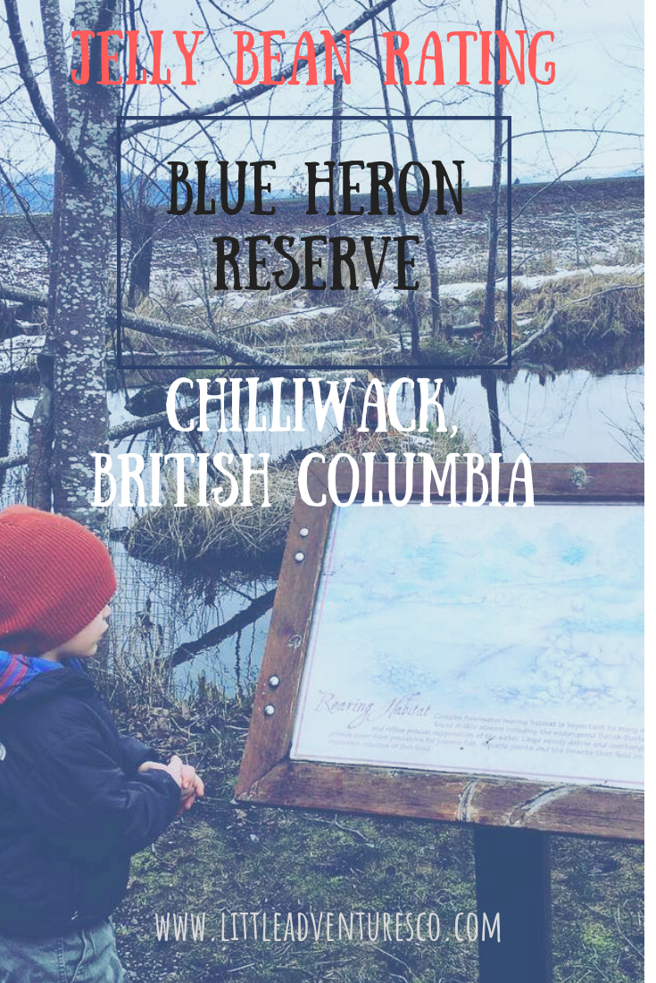 #jellybeanrating #blueheronreserve #chilliwack #sharechilliwack #beautifulbc #fraservalley #blueheron #outdoorliving #outdoorlifestyle #adventure #littleadventuresbigdreams