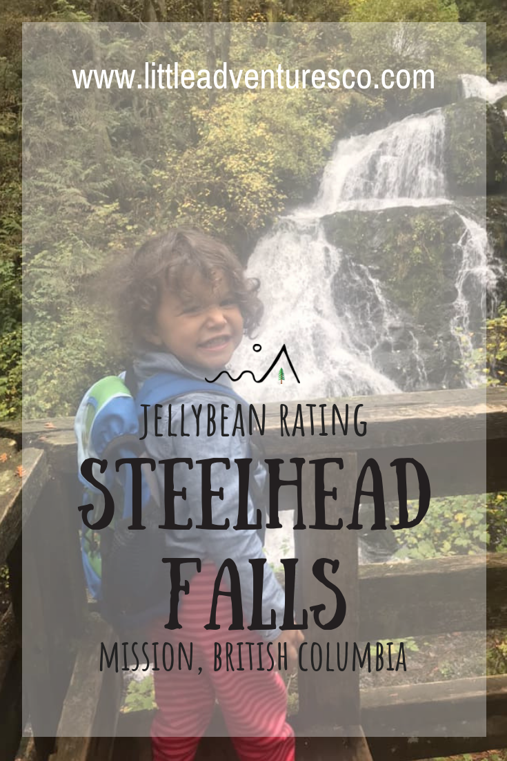 Are you looking for a GREAT waterfall on a kid friendly hike? Steelhead Falls in Mission is beautiful and easy to get to with kids!