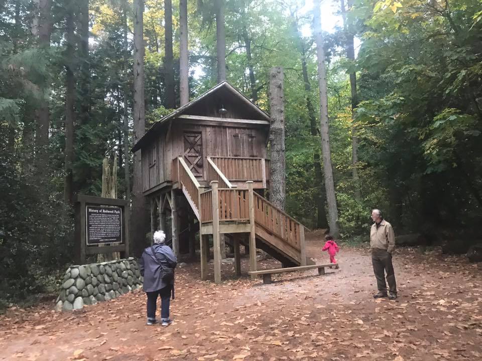 redwood park cabin