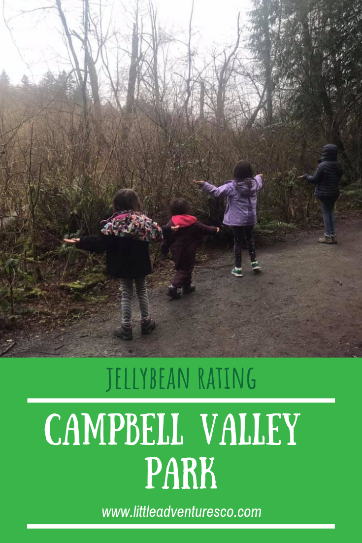 Campbell Valley Park in Langley, B.C. has beautiful trails, a fun boardwalk, and is a perfect spot for meandering and exploring with your kids!