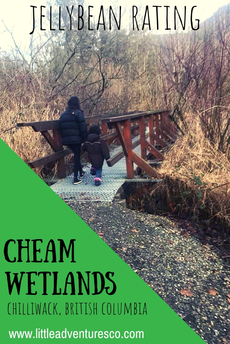 Nestled among the Fraser Valley mountains and Bridal Falls is Cheam Lake Wetlands: a perfect place to pack a picnic and spend the day!