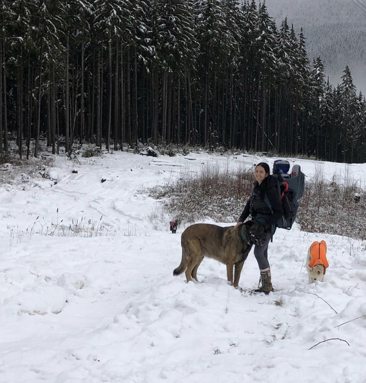 hiking with a kid and dog