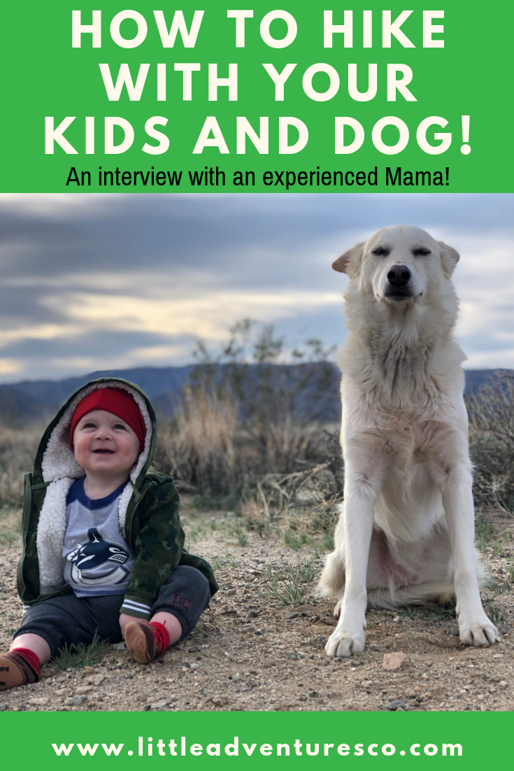 Taking the kids hiking is fun. Taking the dog hiking is fun. Here's how you can do both together!