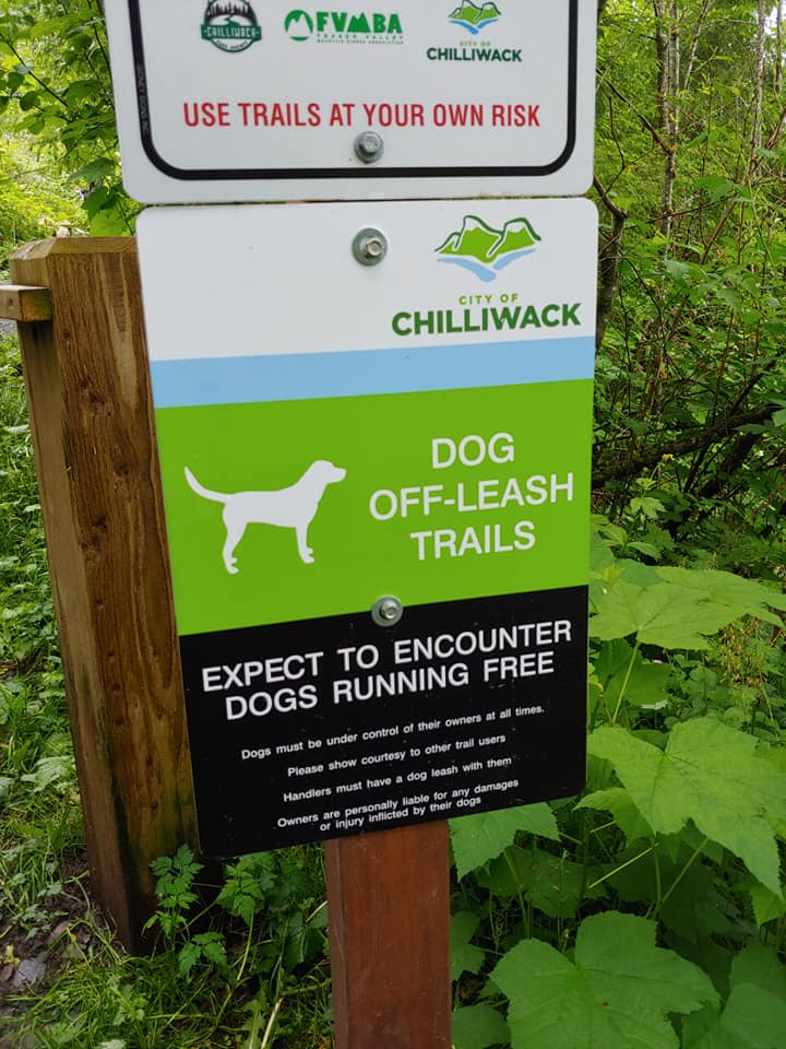 dog off leash trail at community forest