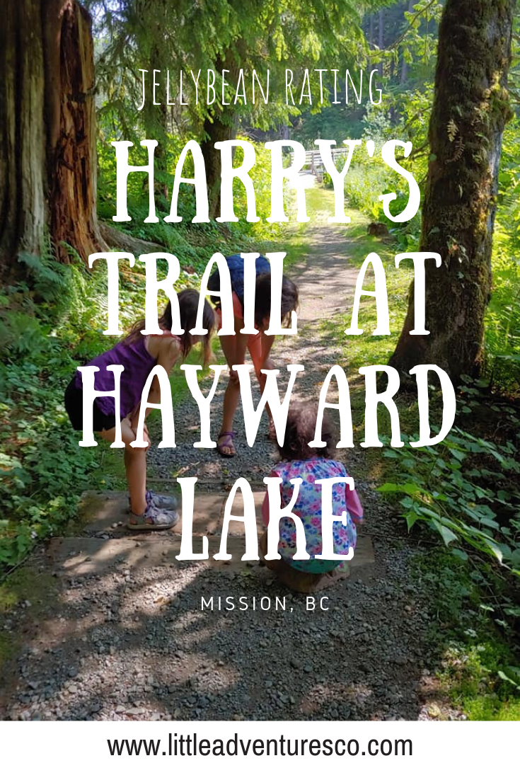 Harry's Trail at Hayward Lake brings you to the main beach or the off leash dog area! It's a great chance to get a little hike in before a day at the beach!