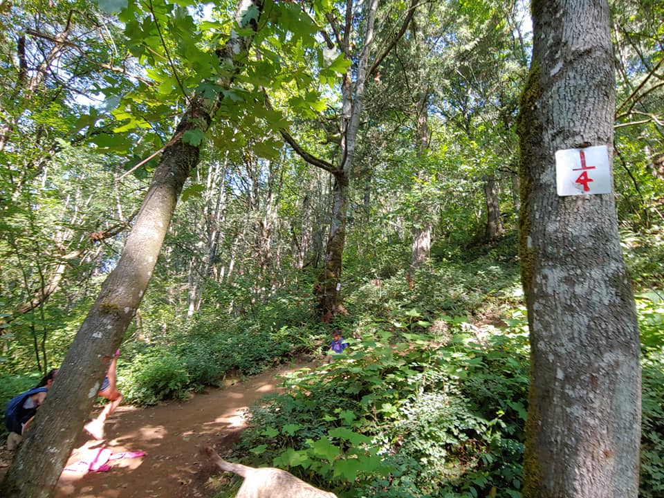 abby grind trail markers