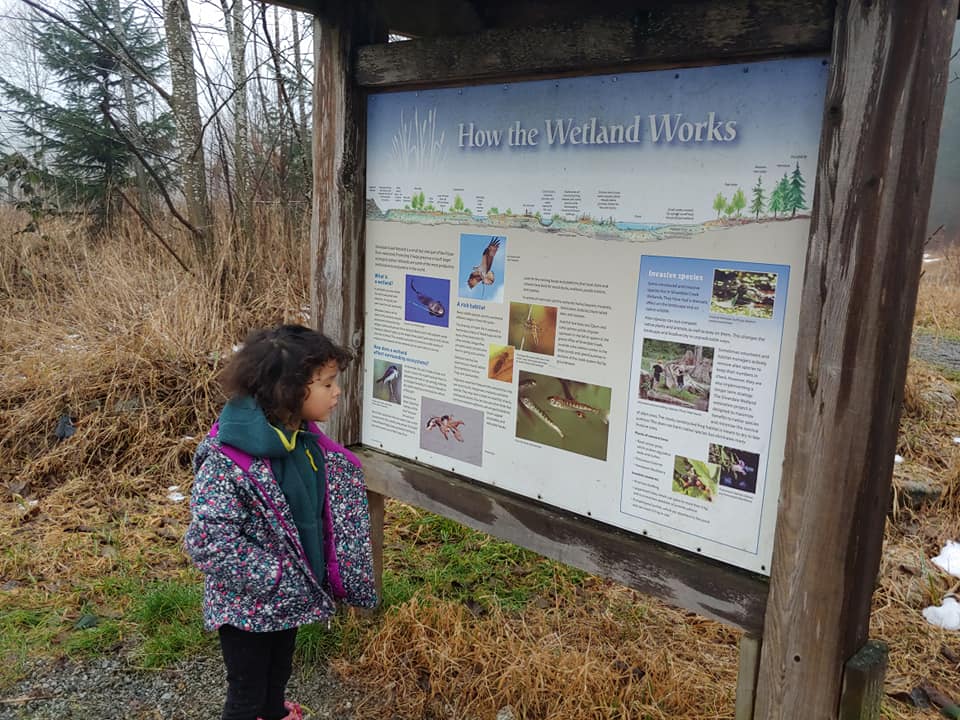 signage at silverdale creek wetlands